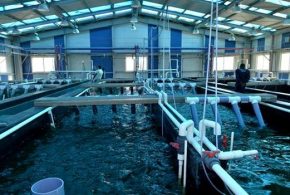 Pêche et aquaculture : convention pour la formation des détenus des établissements pénitenciers dans le domaine