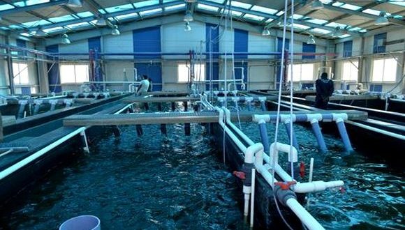 Pêche et aquaculture : convention pour la formation des détenus des établissements pénitenciers dans le domaine