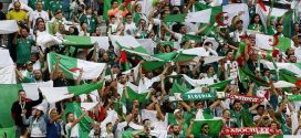 CHAN-2022 : la vente des tickets du match des Verts samedi sur la plateforme « tadkirati.chan2022.dz »