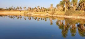 Tourisme saharien : miser sur les potentialités de la wilaya de Touggourt pour booster la dynamique locale