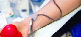 Plusieurs hôpitaux de la wilaya mobilisés : 74 opérations de don de sang programmées durant le mois de ramadhan