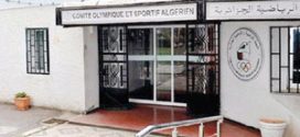 Comité olympique et sportif algérien : adoption des bilans, et élection de trois nouveaux membres dans l’exécutif