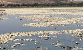 Pour s’enquérir de la situation : une commission du ministère de l’environnement rend visite au lac Oum Ghilas
